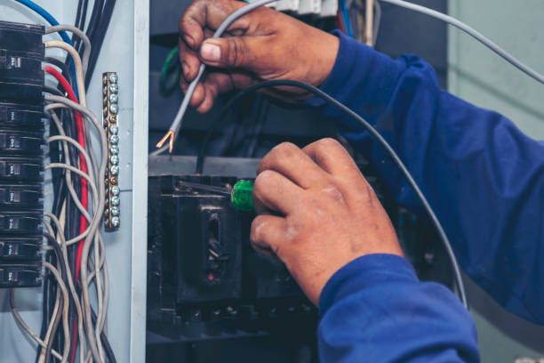 Best Electric Panel Repair  in Dallas, GA